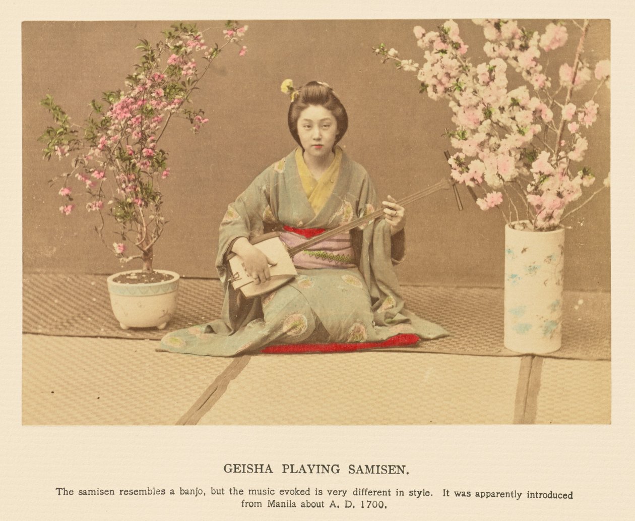 Geisha spielt Samisen von Kazumasa Ogawa