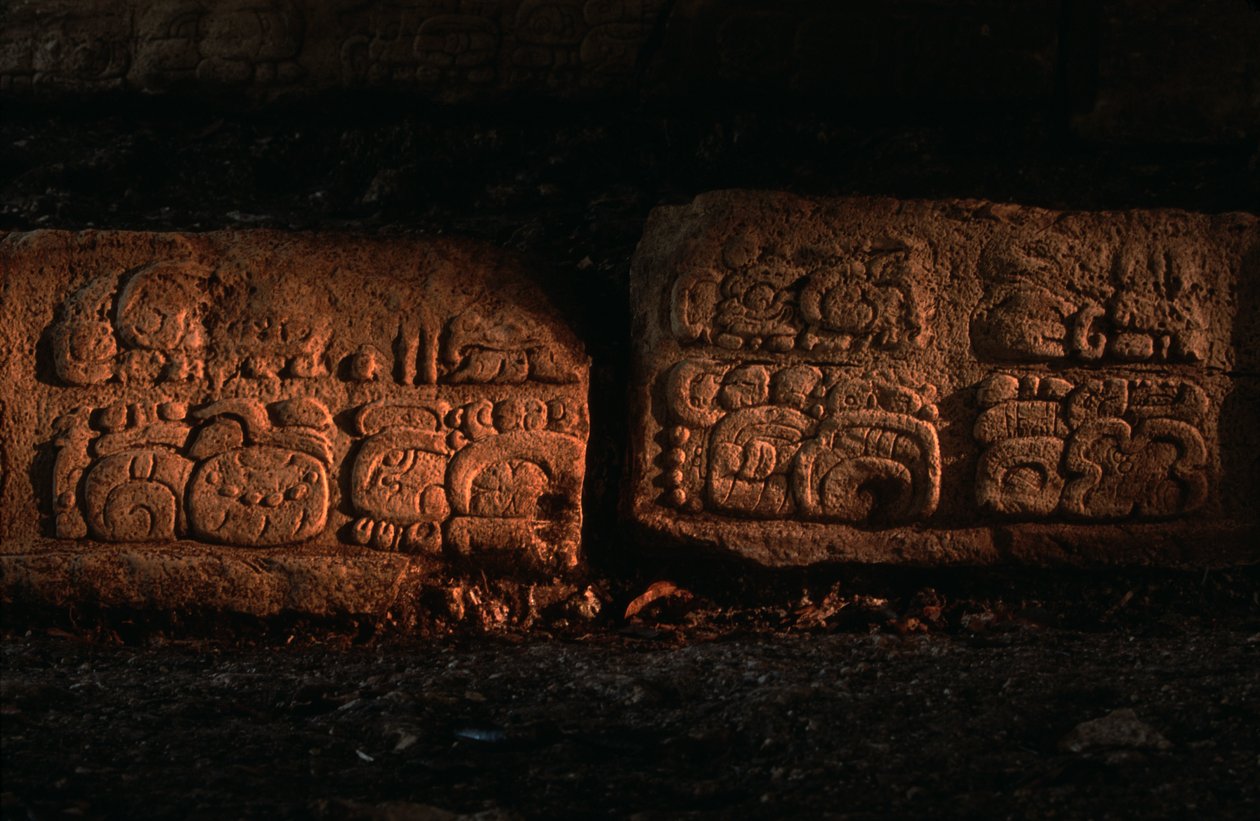 Maya, Guatemala, Dos Pilas Treppe von Kenneth Garrett