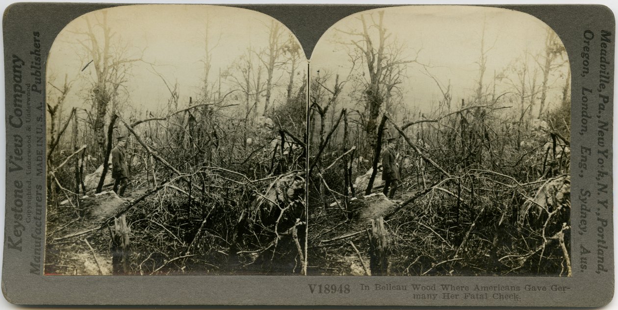 Uniformierter Mann geht durch ein Gebiet mit zerstörten Bäumen. Keystone Stereograph Nummer V18948 von Keystone View Company