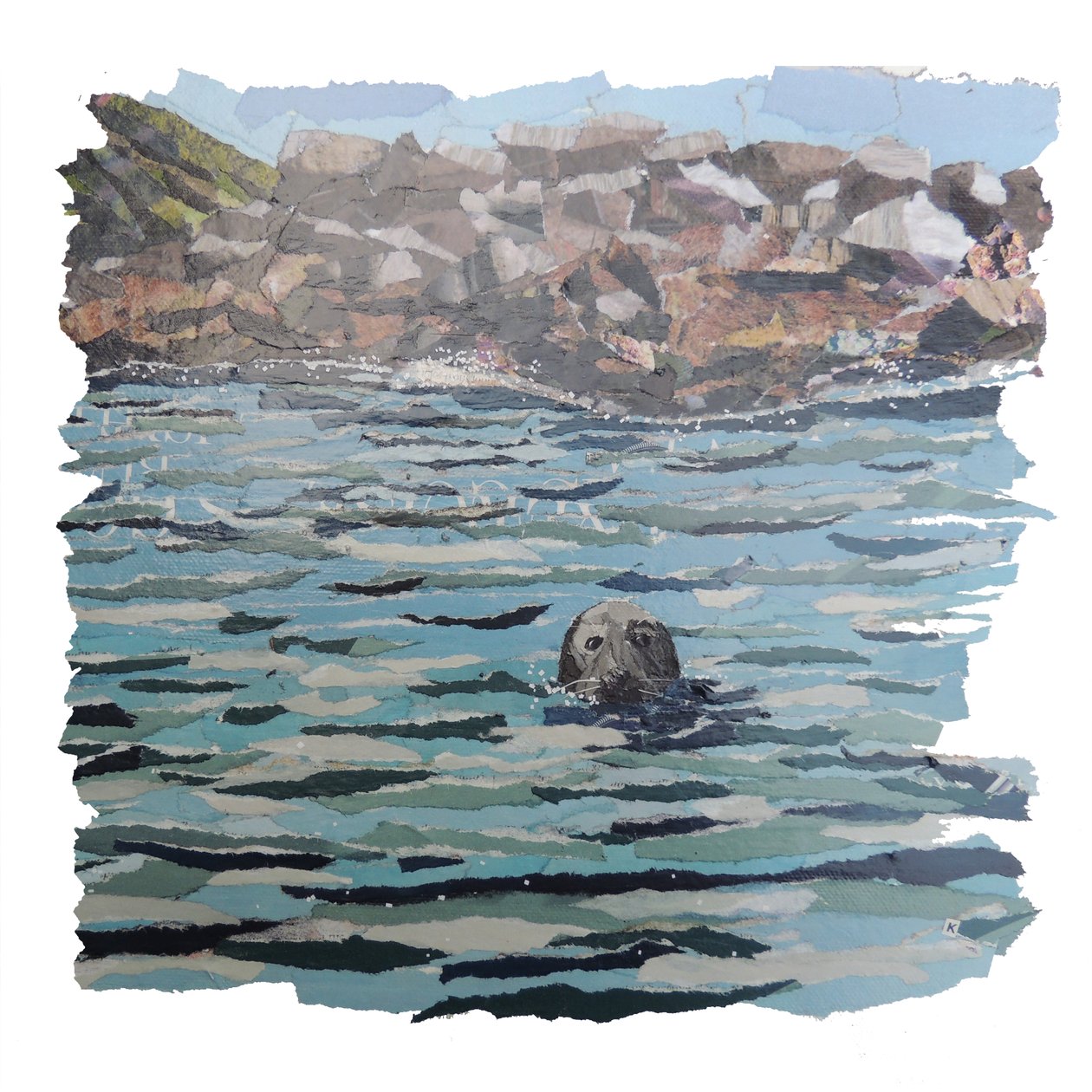 Robbeninsel von Kirstie Adamson