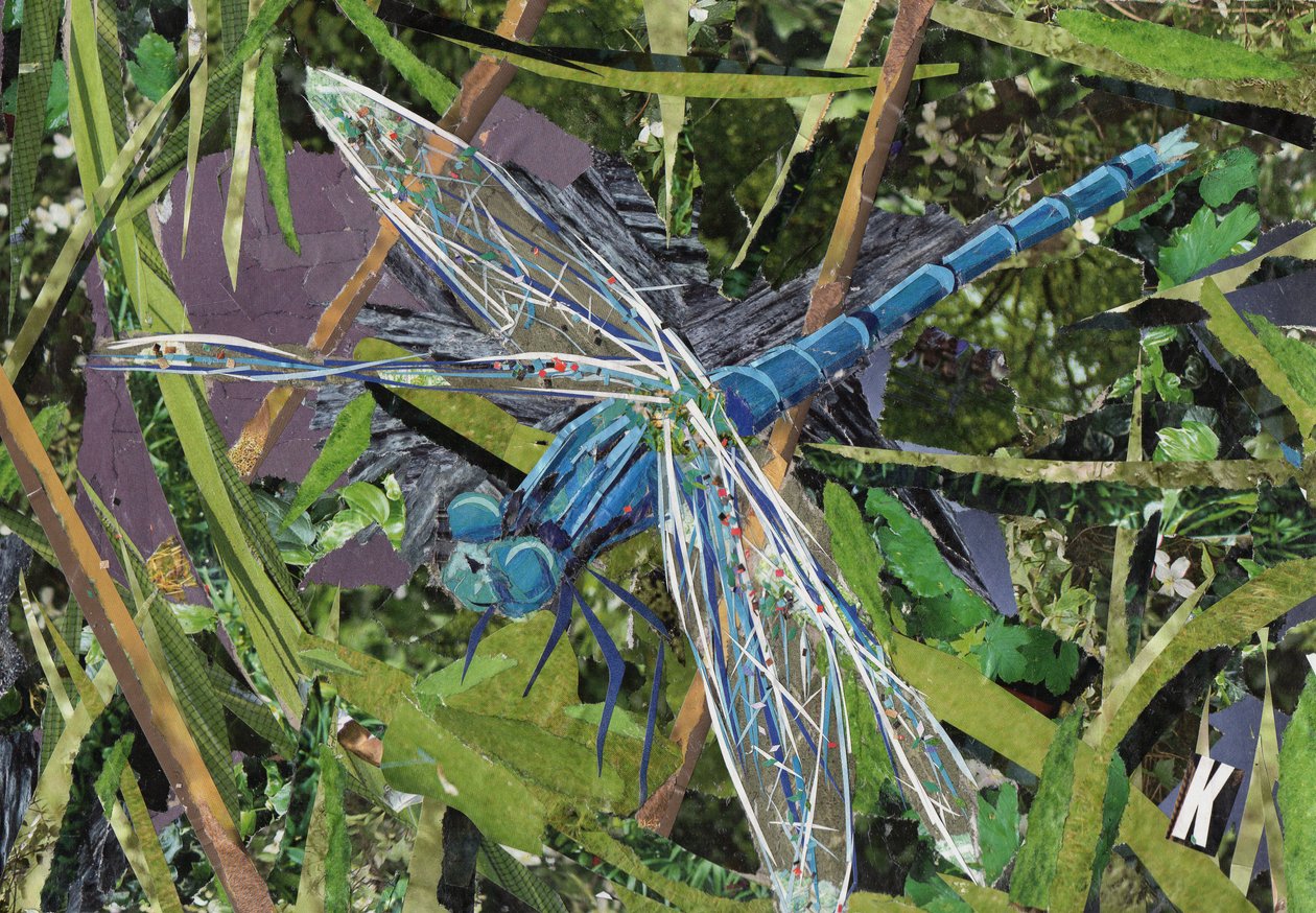 Blaue Libelle von Kirstie Adamson