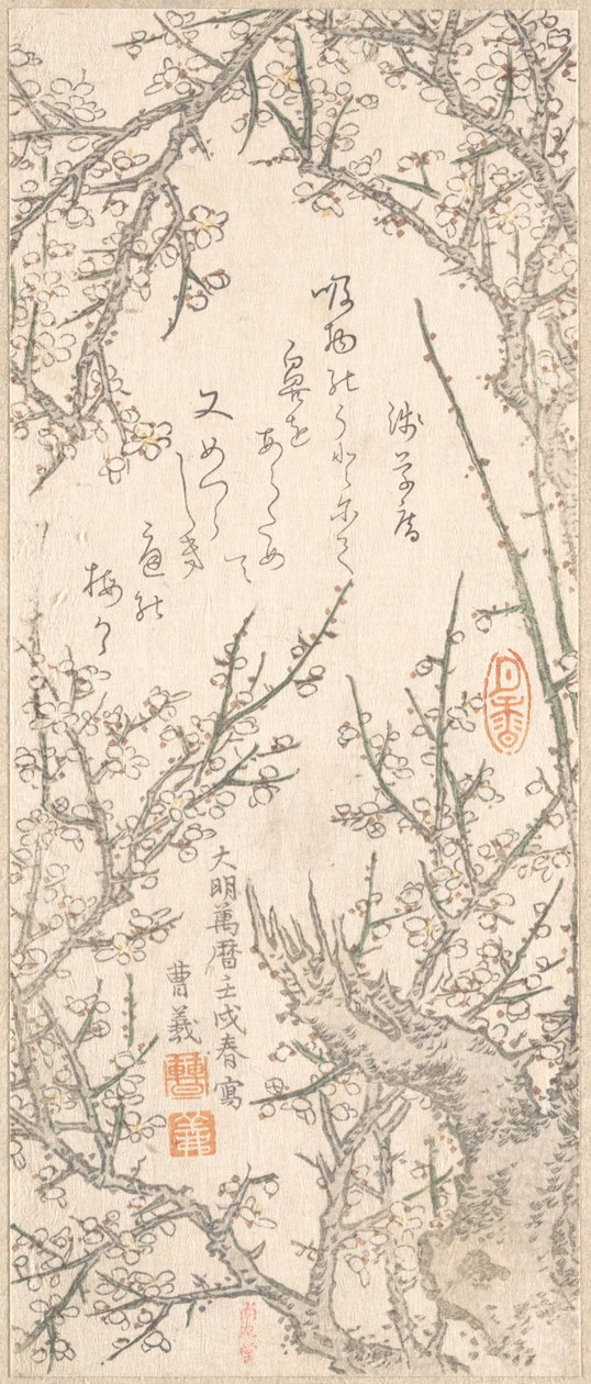 Pflaumenbaum in Blüte, 1813 von Kitao Shigemasa