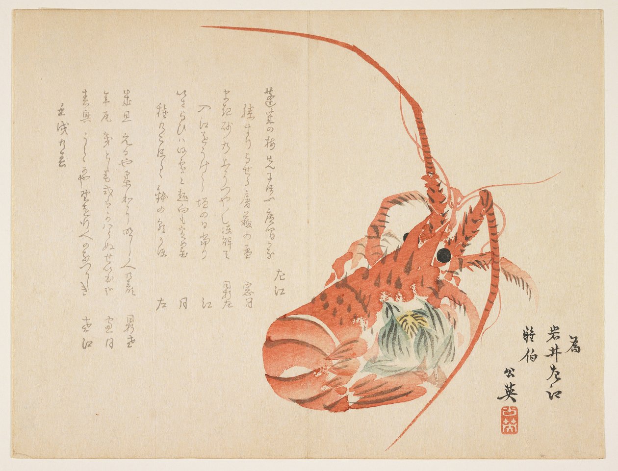 (Hummer und gewöhnliche Leberblümchen), Januar 1862 von Koei