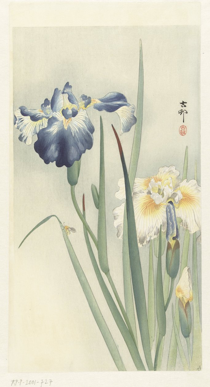 Schwertlilien von Ohara Koson