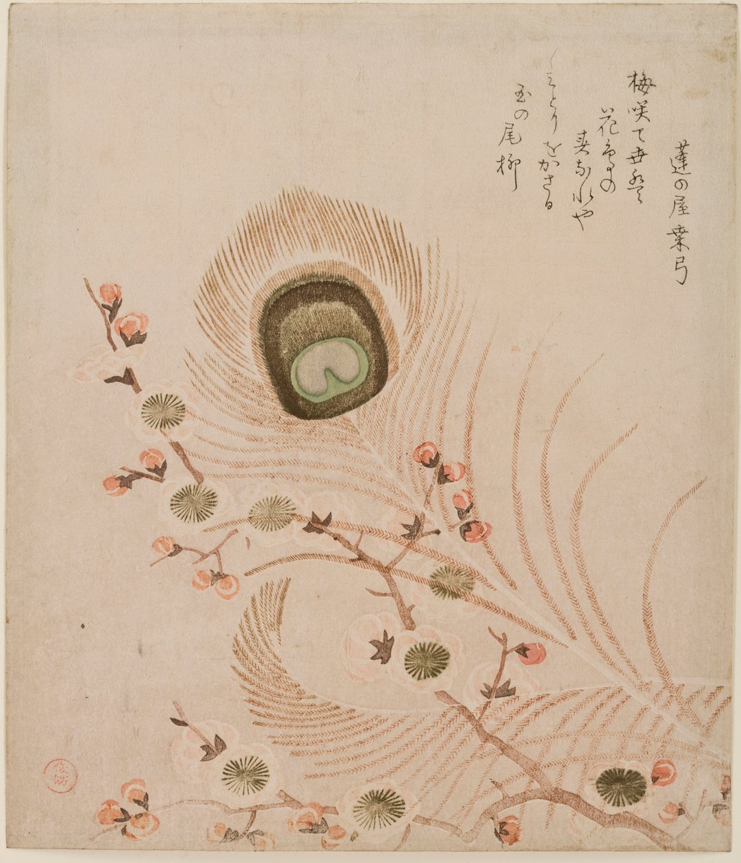 Pflaumenzweig und Pfauenfedern, Mitte bis Ende der 1810er Jahre von Kubo Shumman