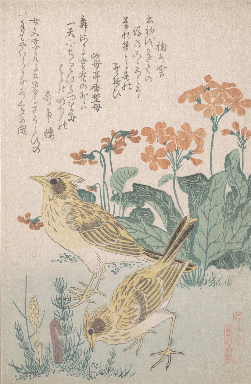 Feldlerchen und Primeln, ca. 1805-10 von Kubo Shunman