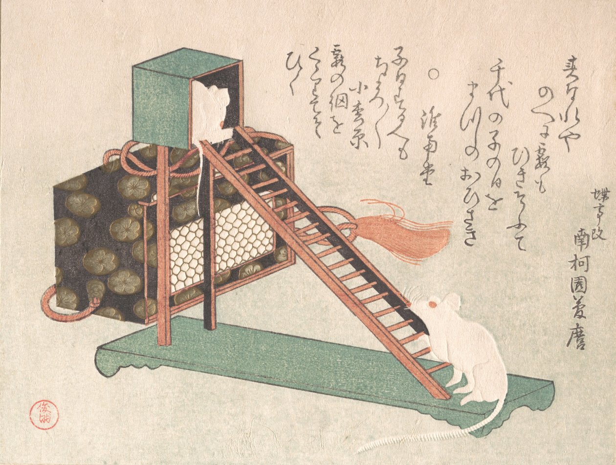 Weiße Mäuse spielen, wahrscheinlich 1816 von Kubo Shunman