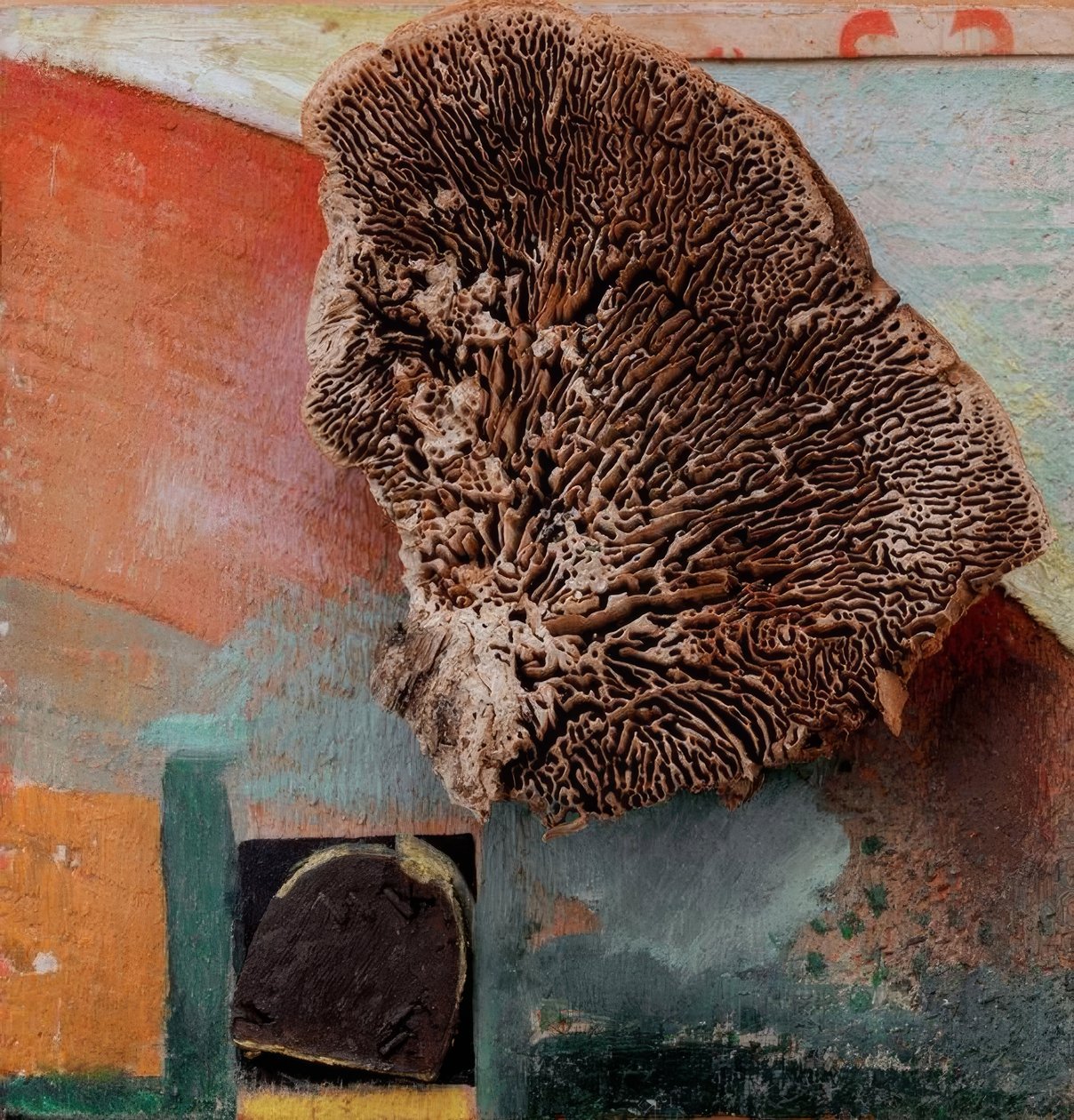 Ohne Titel (Merzbild mit Koralle) von Kurt Schwitters