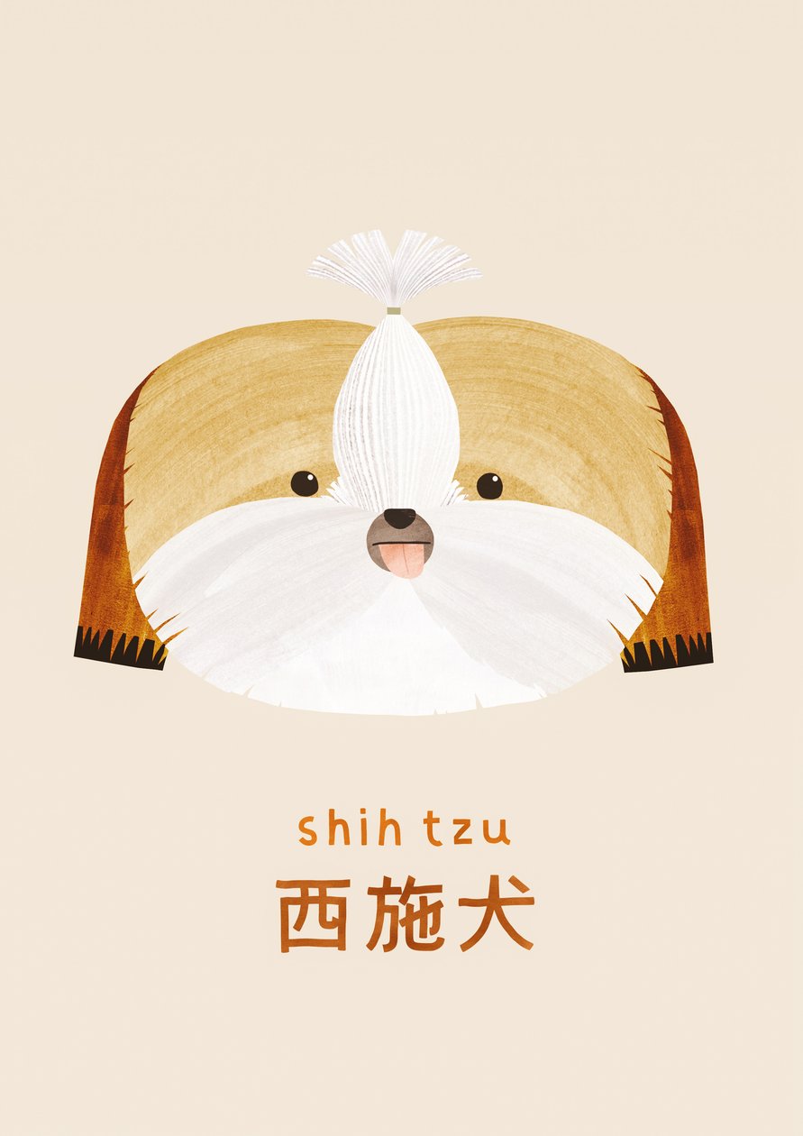 Shih Tzu, 2019 von Léa Le Pivert