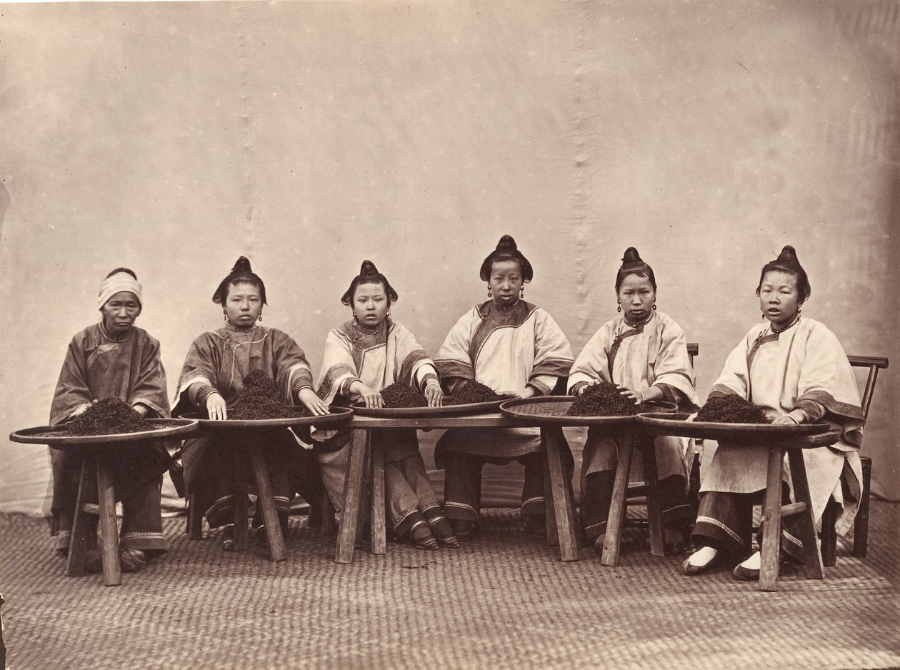 Tee pflücken, ca. 1869 von Lai Fong.