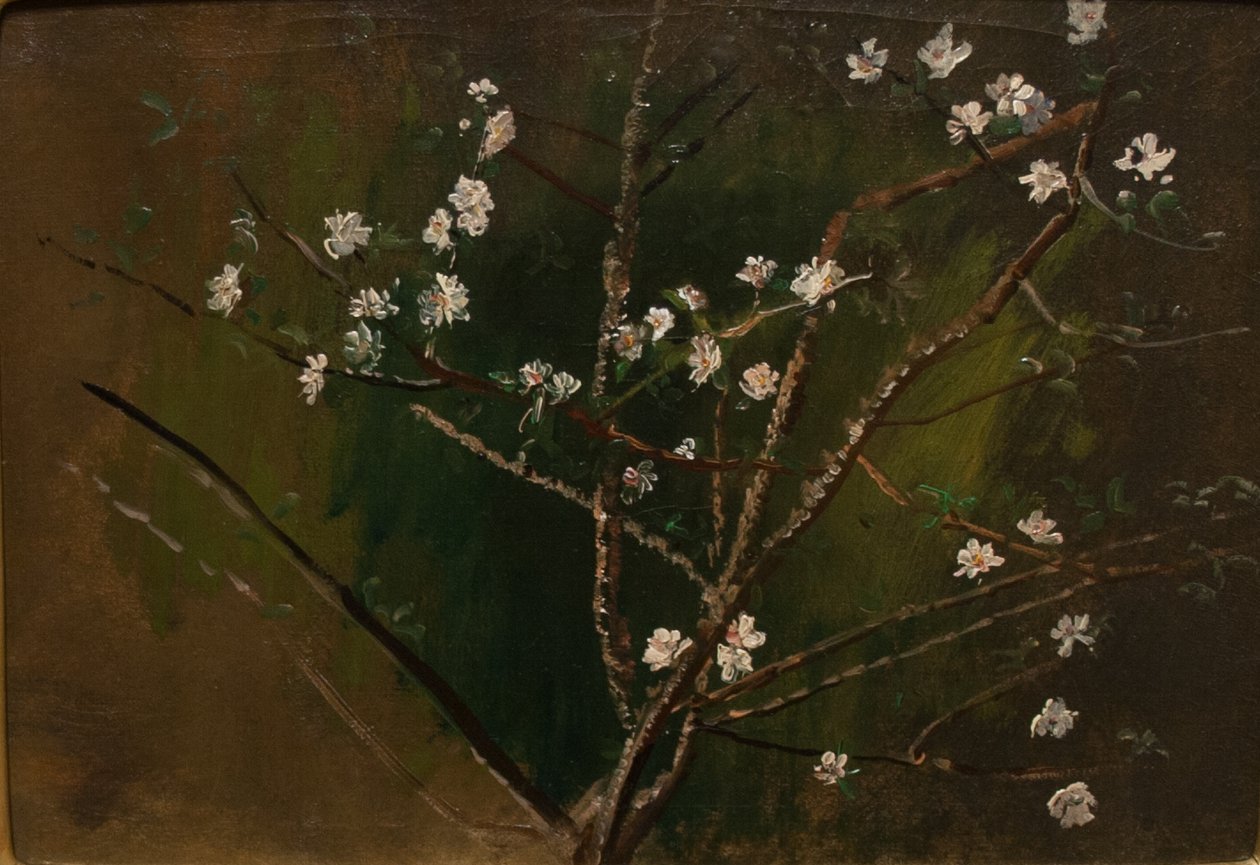 Blüte von Laszlo Mednyanszky