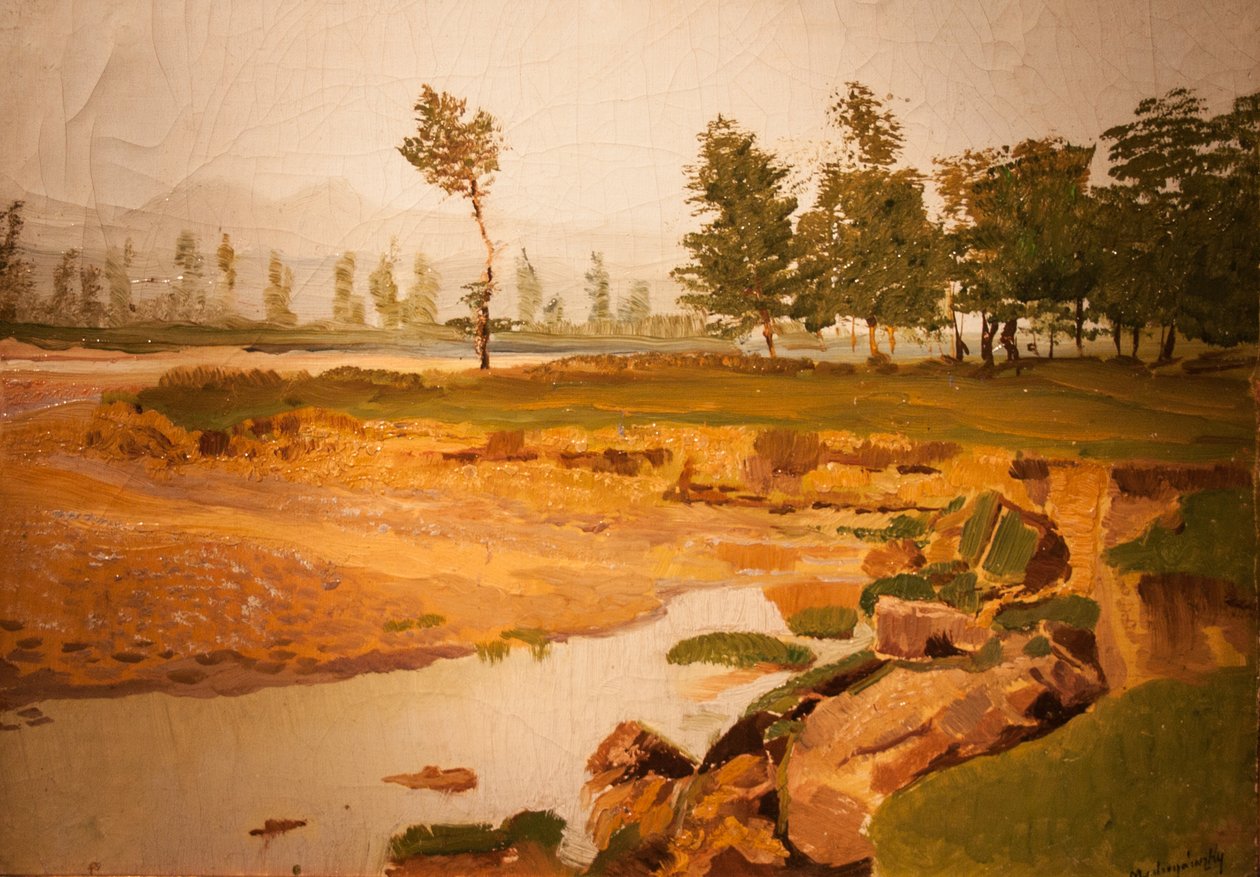 Frühlingslandschaft von Laszlo Mednyanszky