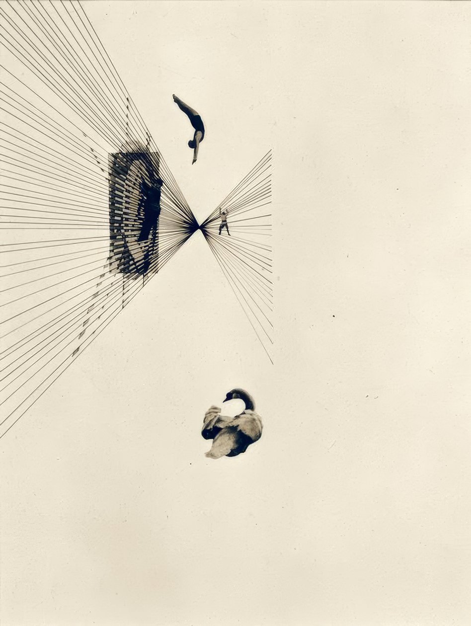 Leda und der Schwan von Laszlo Moholy Nagy