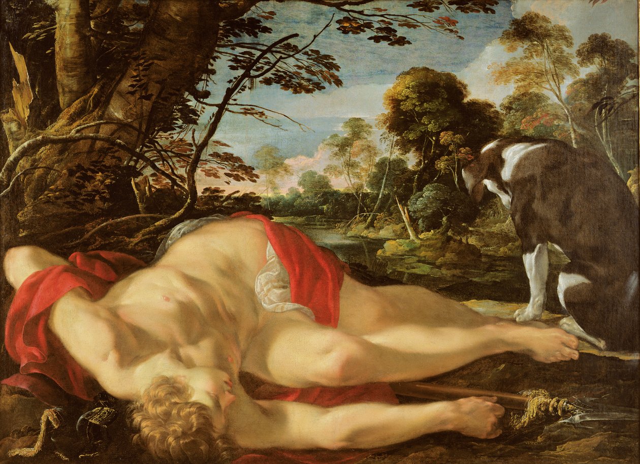 Toter Adonis, ca. 1624-28 von Laurent de la Hyre