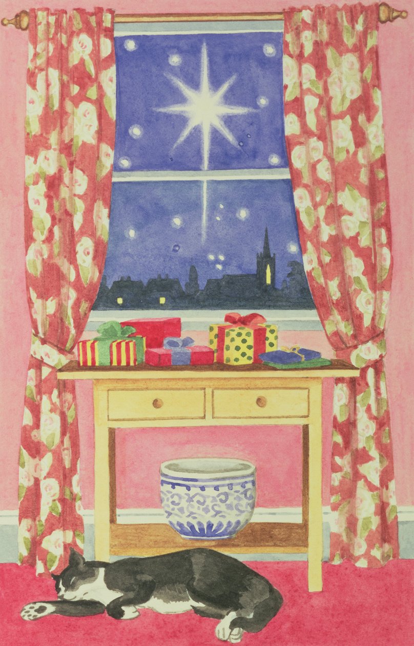 Sternennacht von Lavinia Hamer