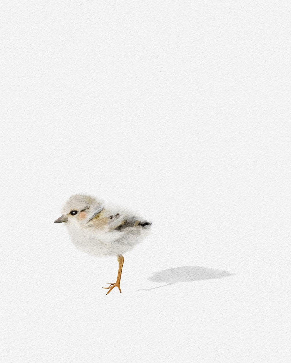 Watvogel, ca. 2021 von Leah Straatsma