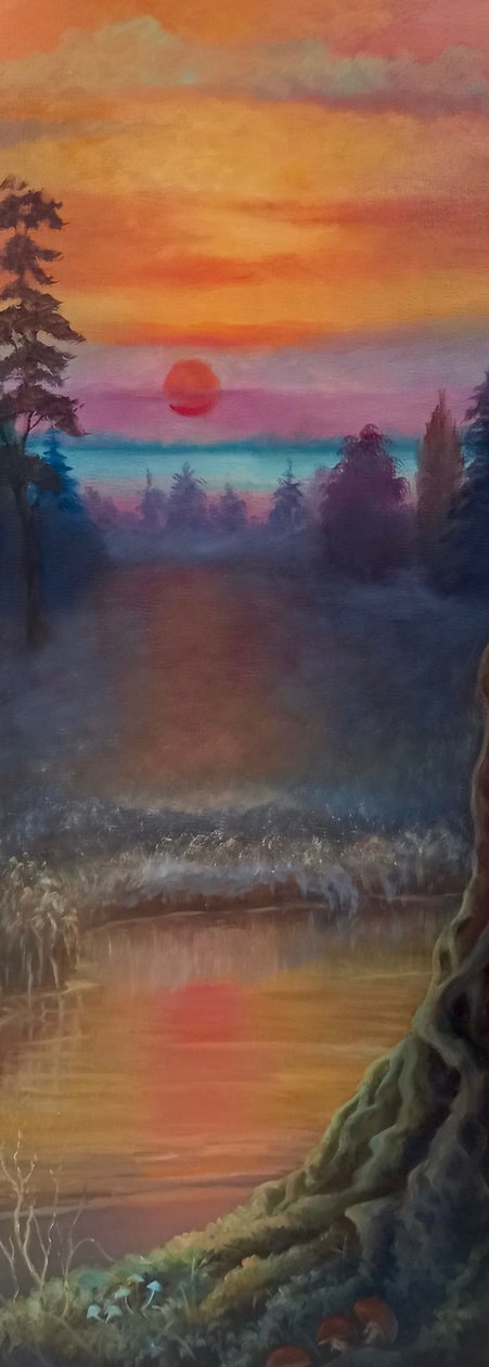 Nordlicht von Lee Campbell
