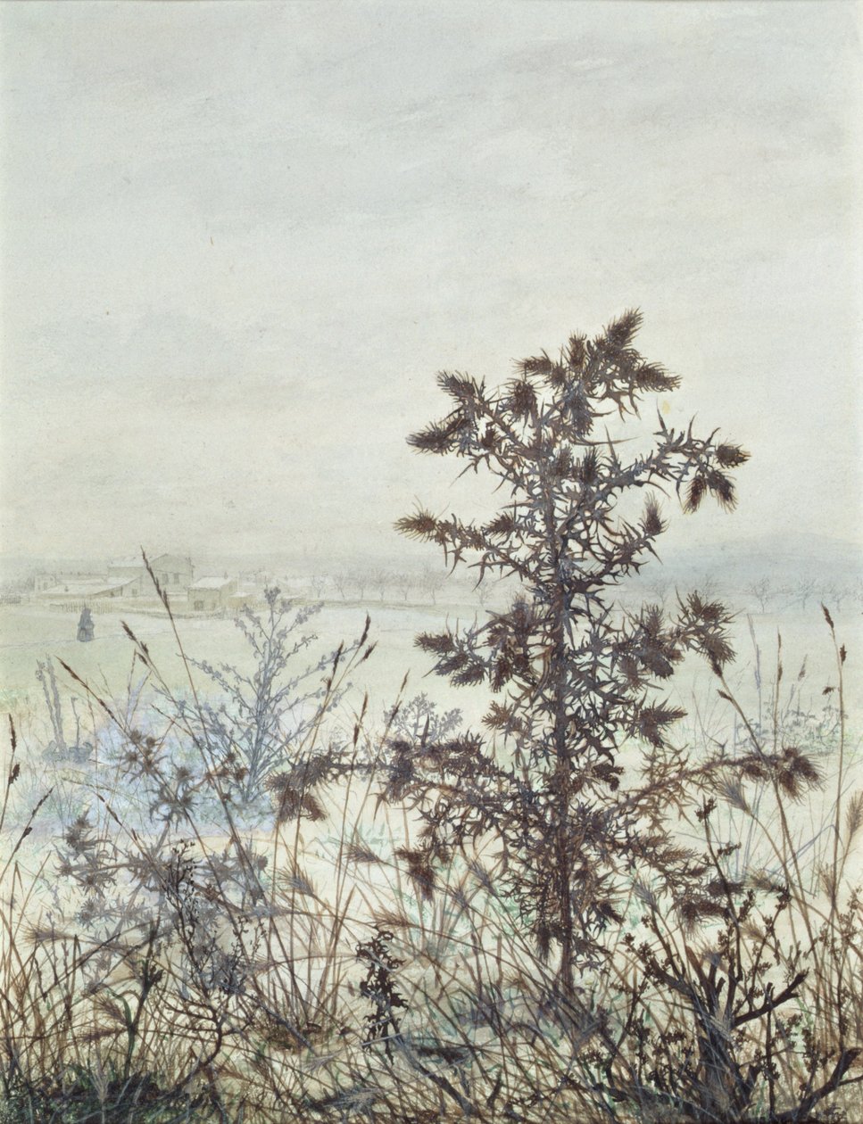 Disteln und Unkraut, 1864 von Léon Bonvin