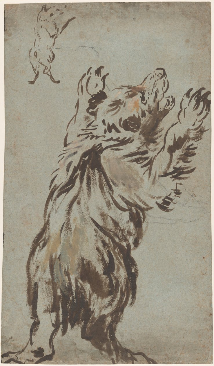 Studien eines Bären von Leonard Bramer