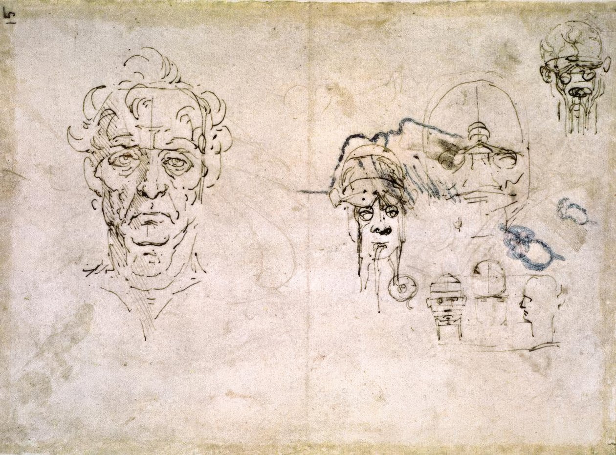 Anatomiestudien von Leonardo da Vinci