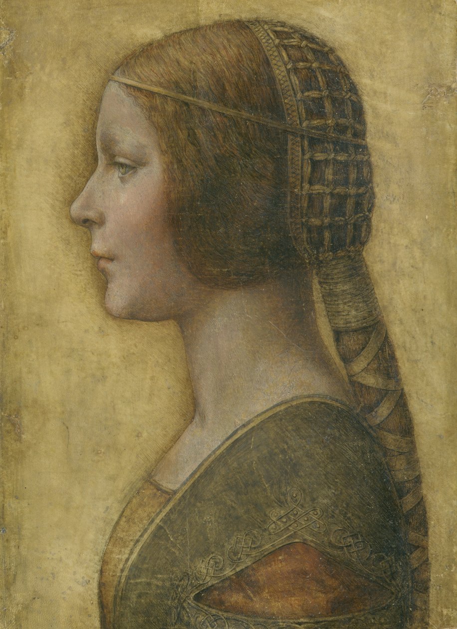 Schöne Prinzessin von Leonardo da Vinci