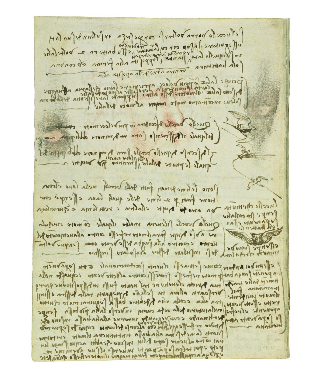 Codex über den Vogelflug, Folio 10 verso von Leonardo da Vinci