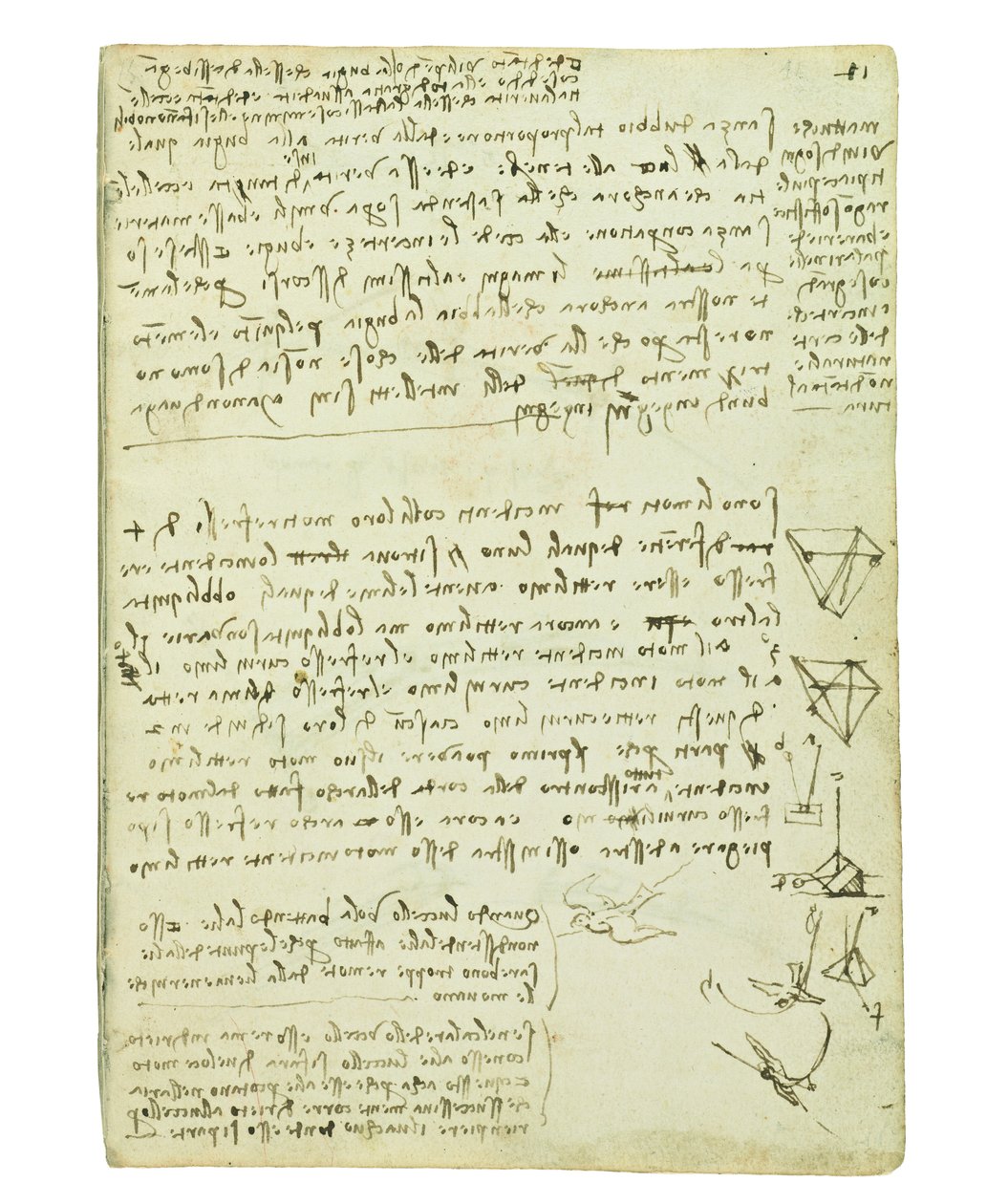 Codex über den Vogelflug, Folio 11 recto von Leonardo da Vinci