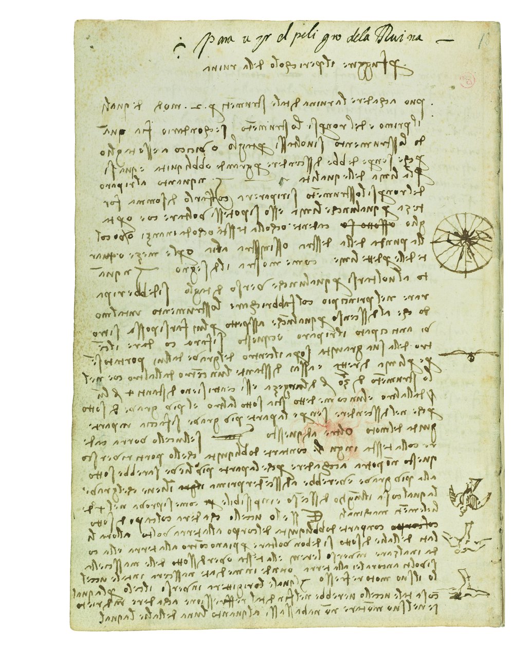 Codex über den Vogelflug, Folio 12 verso von Leonardo da Vinci