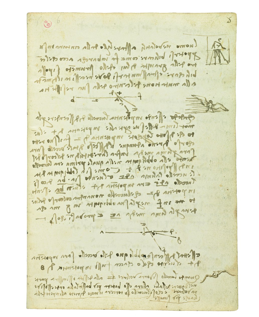 Codex über den Vogelflug, Folio 5 recto von Leonardo da Vinci