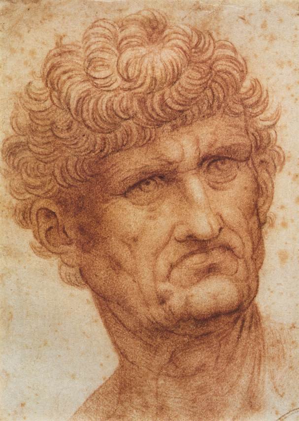 Kopf eines Mannes von Leonardo da Vinci