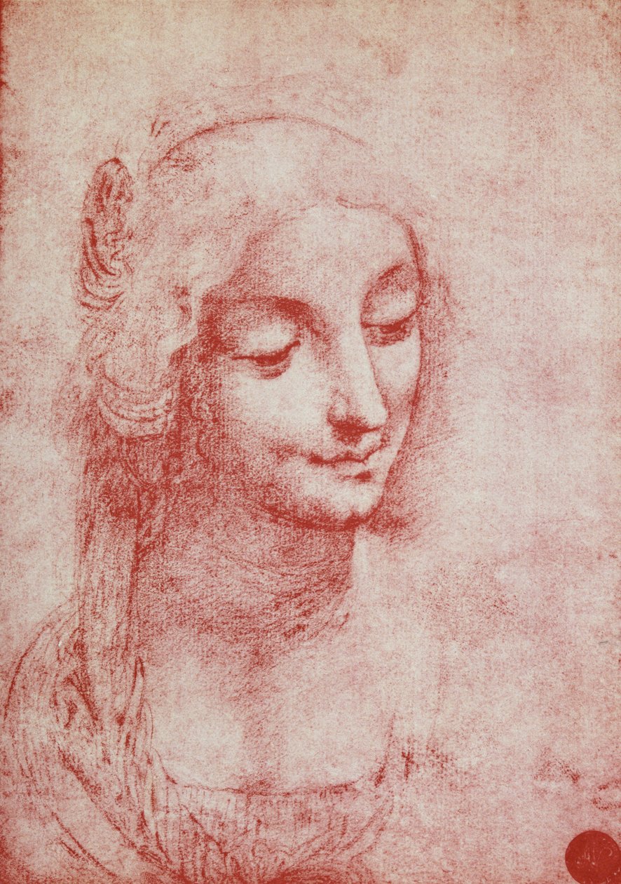Kopf einer Frau von Leonardo da Vinci