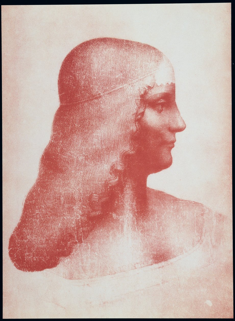 Kopf einer Frau im Profil von Leonardo da Vinci