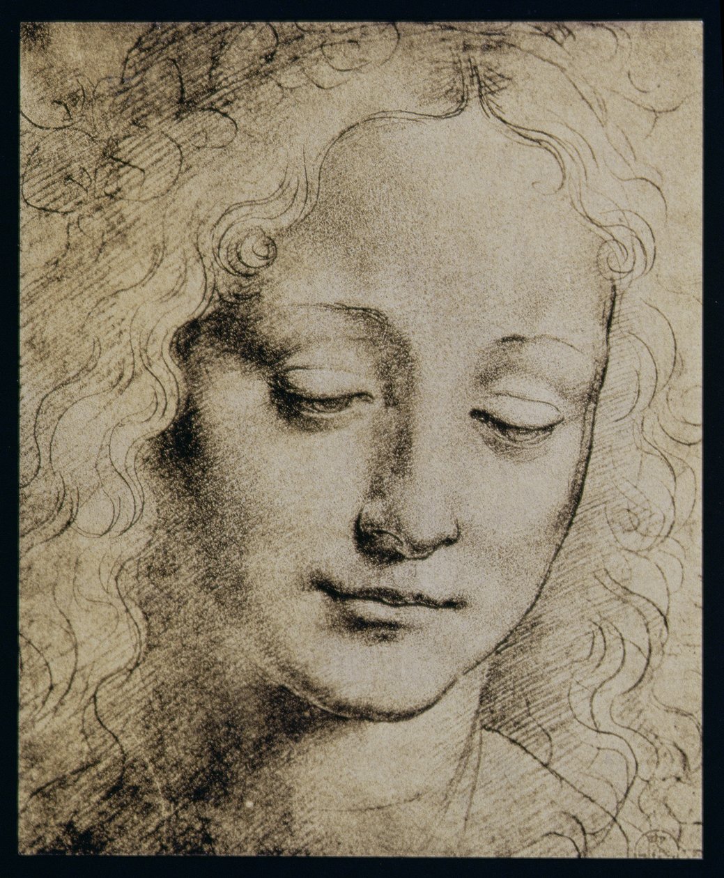Kopf eines jungen Mädchens von Leonardo da Vinci