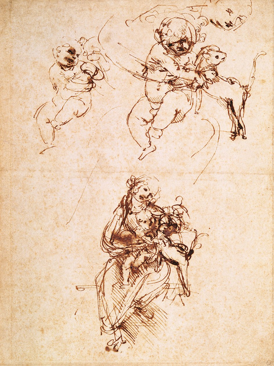 Studien für eine Madonna mit einer Katze, ca. 1478-80 von Leonardo da Vinci