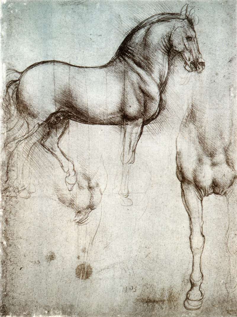 Studie von Pferden von Leonardo da Vinci