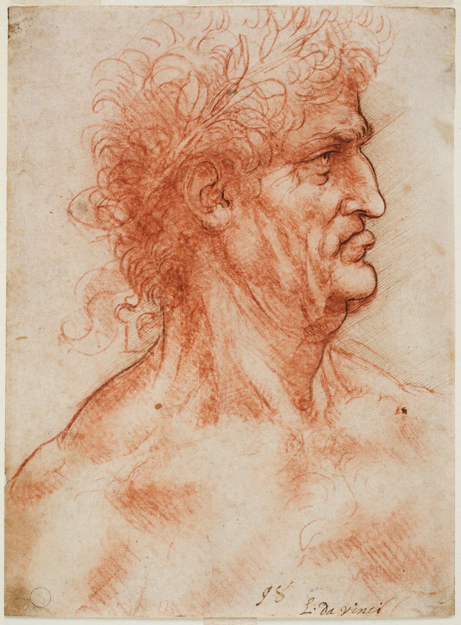 Männlicher Kopf im Profil mit Lorbeerkranz, ca. 1506-10 von Leonardo da Vinci