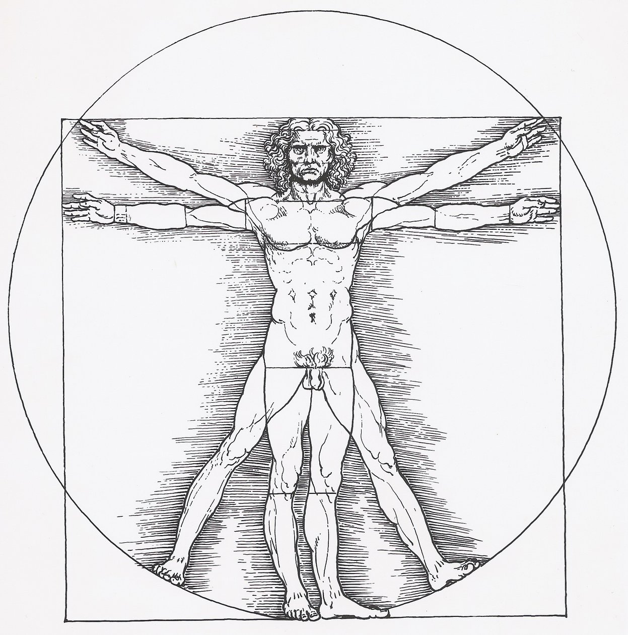 Vitruvianischer Mann von Leonardo da Vinci