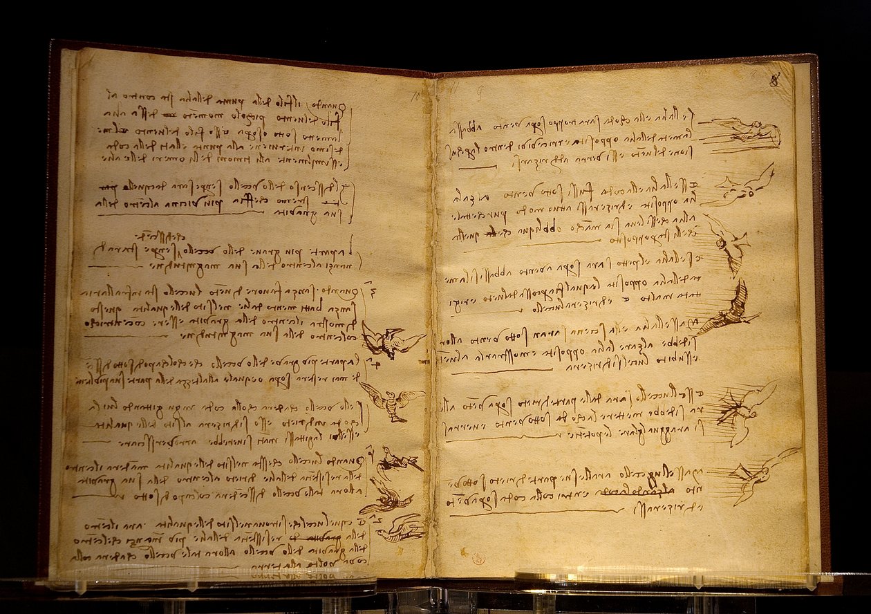 Codex über den Vogelflug Luc Viatour von Leonardo da Vinci