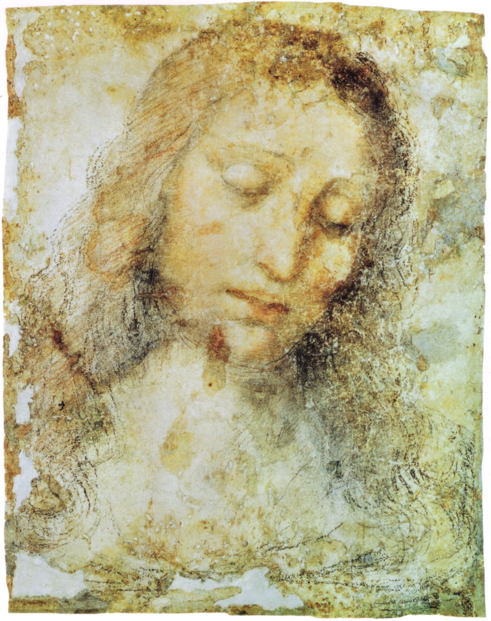 Pinacoteca di Brera von Leonardo da Vinci