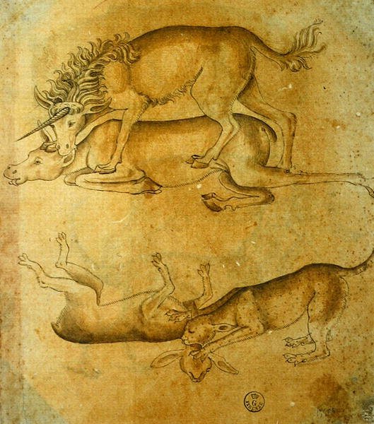 Tiere von Leonardo da Vinci