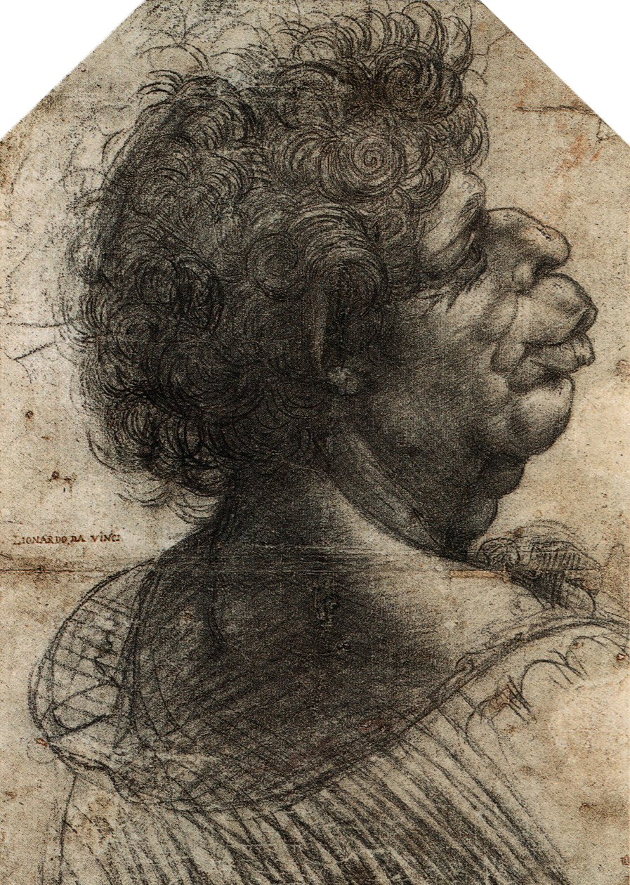 Grotesker Kopf von Leonardo da Vinci