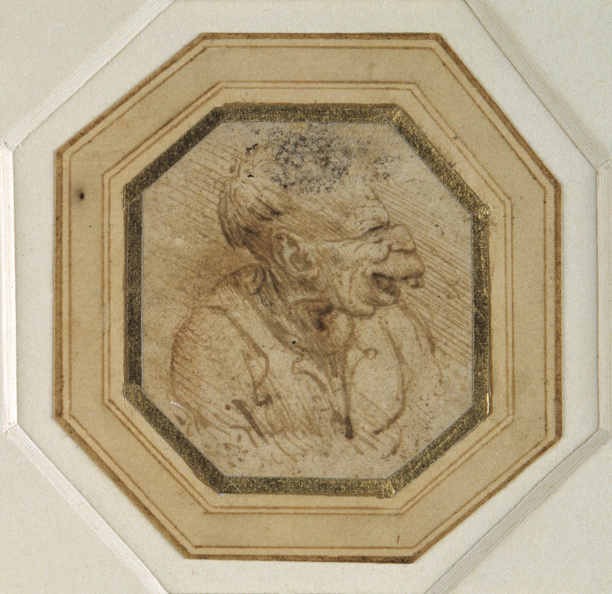 Grotesker Kopf von Leonardo da Vinci