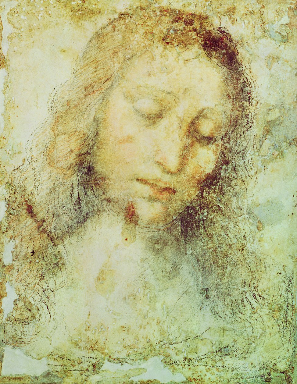 Kopf von Christus von Leonardo da Vinci