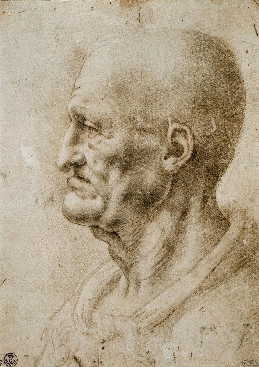 Kopfstudie eines alten Mannes von Leonardo da Vinci