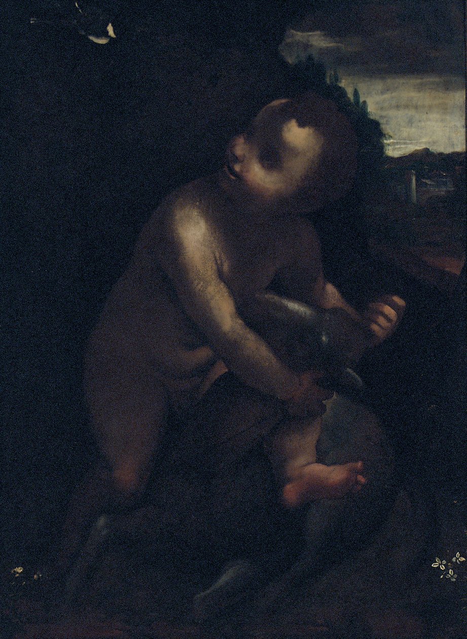 Der kleine Johannes der Täufer von Leonardo da Vinci