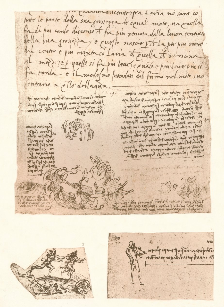 Drei Zeichnungen von Leonardo da Vinci