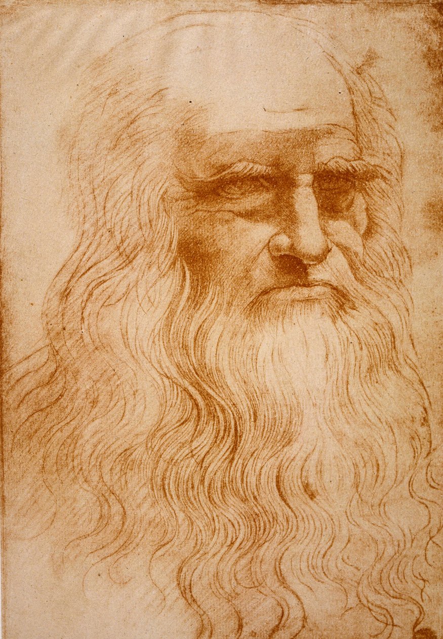 Unbekanntes Bild von Leonardo da Vinci
