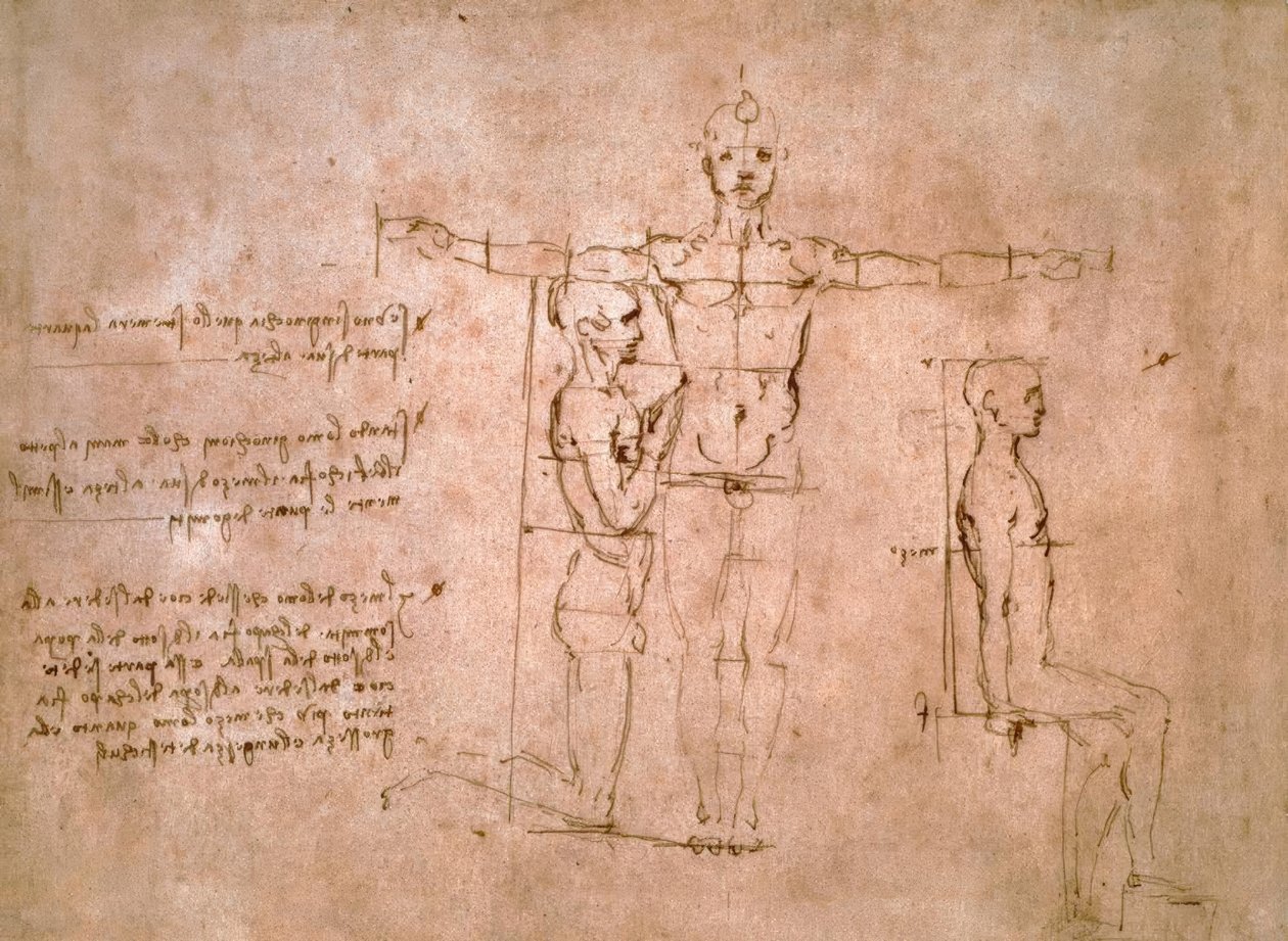 Vergleichende Proportionsstudien von Leonardo da Vinci