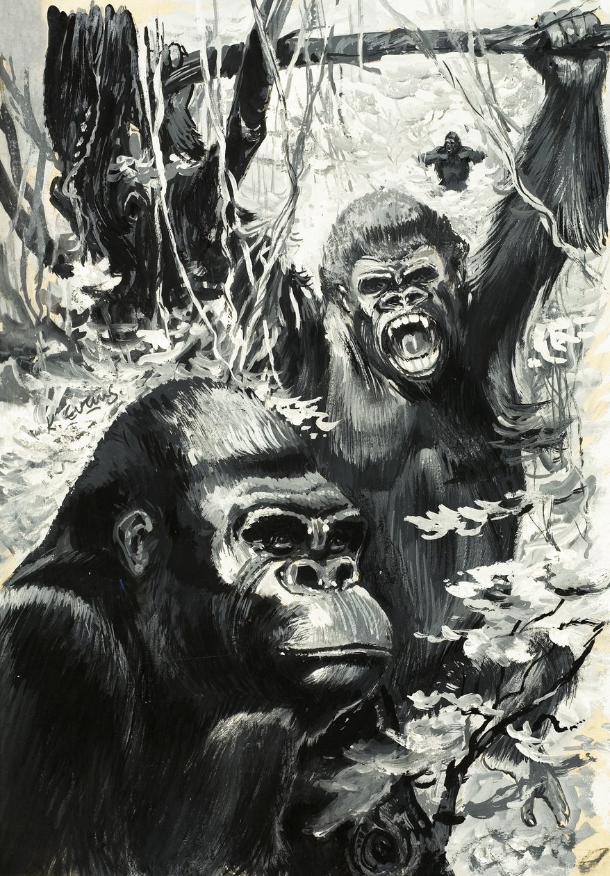 Gorillas von Leslie Field Evans