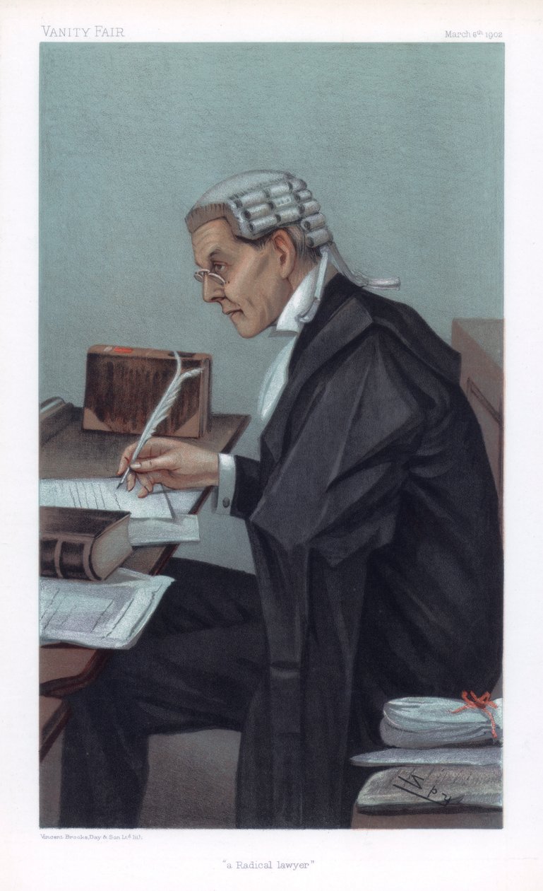 Ein radikaler Anwalt von Leslie Matthew Ward